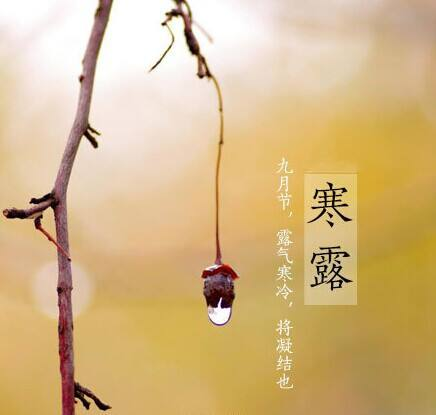 寒露至，秋意濃